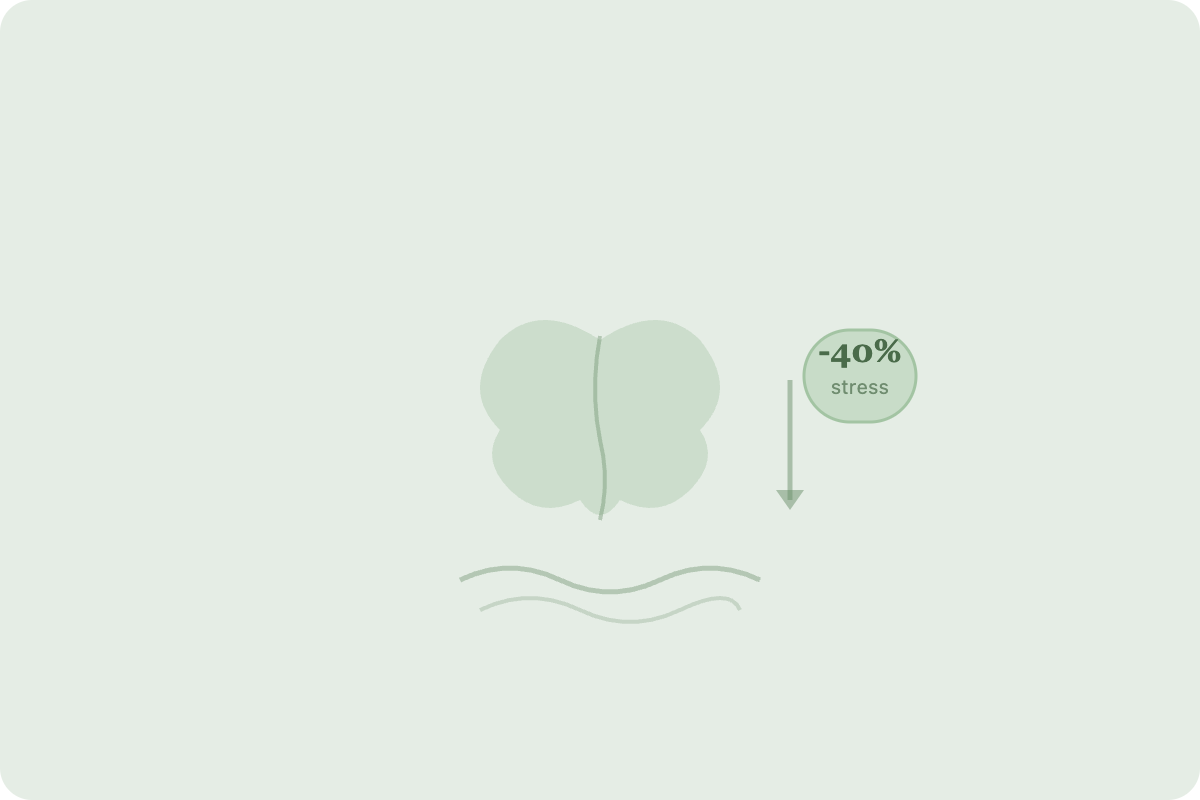 Massage for Stress and Anxiety: How It Works